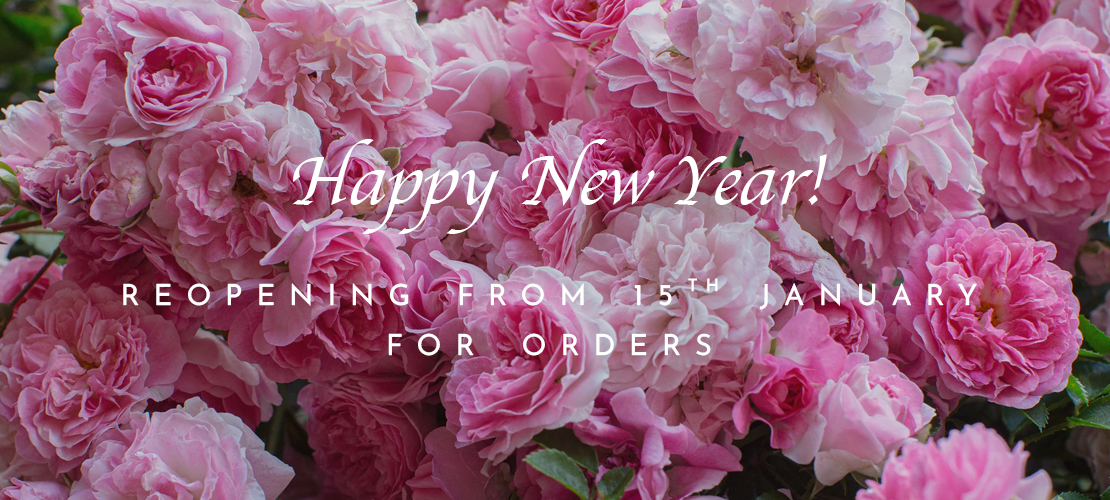 Interflora Florist CarrickonShannon, Ireland send flowers to