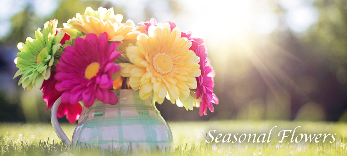 Interflora Florist CarrickonShannon, Ireland send flowers to